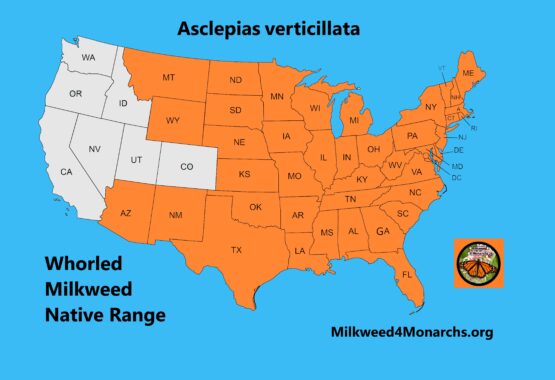 Whorled Milkweed Native Range Map